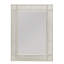 Caribe Flat Beveled Wall Mirror-51383353