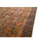 Oriental Area Rug in Brown