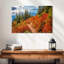 Feuillage d'automne Alvord Mt. Rainier-108708499