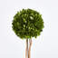 Thisbe Faux Boxwood Topiary in Planter-189621007