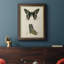 Butterfly Profile IV - Peinture sur toile encadrée-542067362