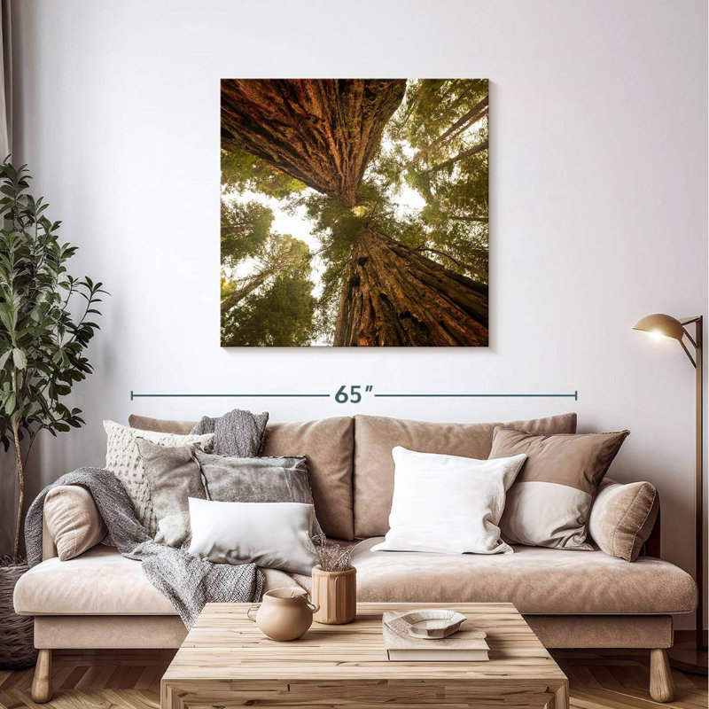 Alvord Towering Sequoia Trees