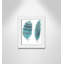 «Feathers in Turquoise II», art encadré-47566108-47566110