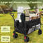 Garden Carts