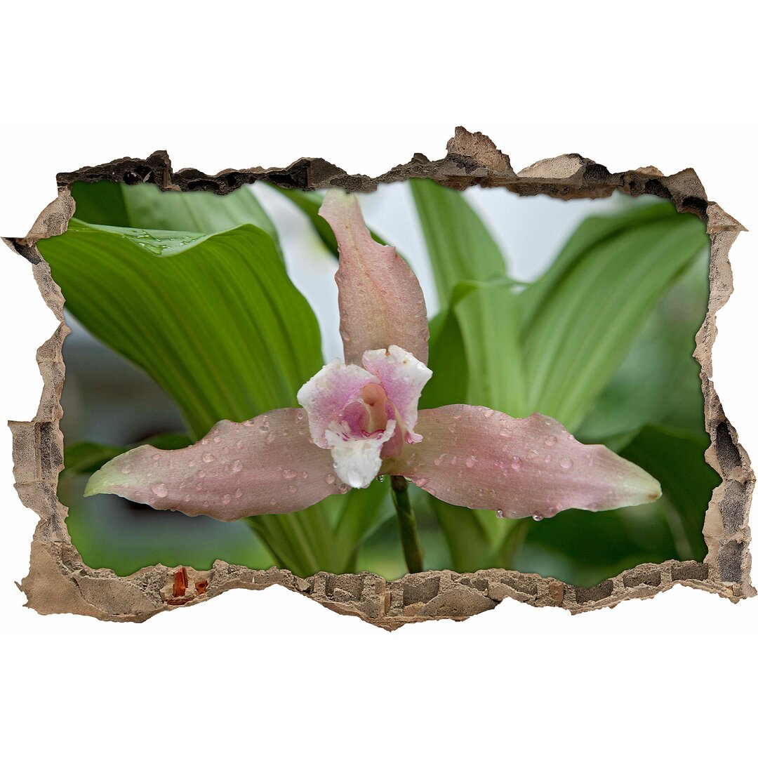 Pinkfarbene Orchideenblüte Wandaufkleber