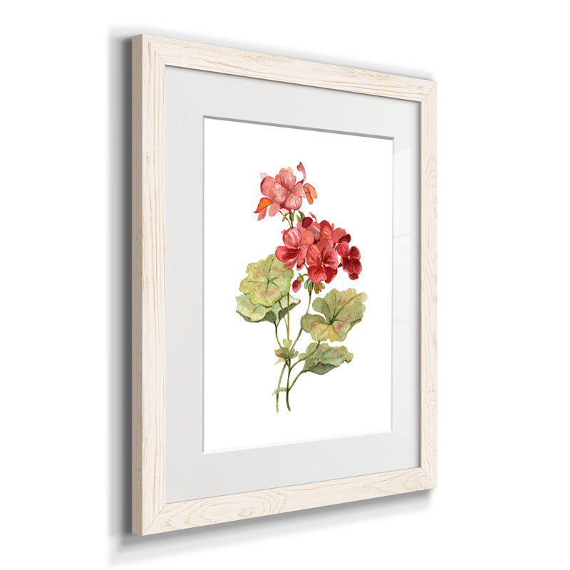 Écarlate géranium - Reproduction d'art sur papier encadrée, Blanc, H 24 po x l 18 po x P 1,5 po