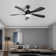 Damecia 52" 5 - Blade Smart Standard Ceiling Fan with Remote Control and LED Light
