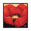 « red beauté i », impression sur toile-29090124-72780965-72780966