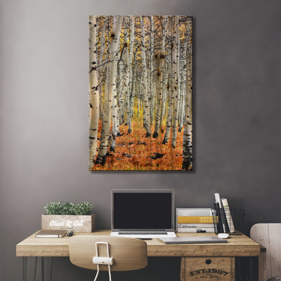 " Autumn In Aspen "