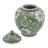 Handmade Ceramic Ginger Jar