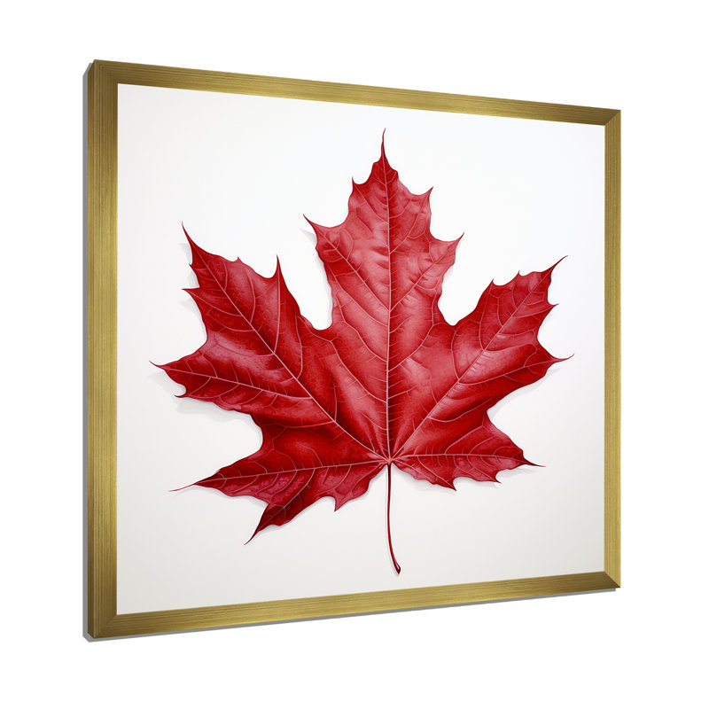 «Scarlet Maple Leaf Simplicity I», reproduction d'art sur toile encadrée, Cadre doré simple, H 24 po x l 24 po x P 1 po