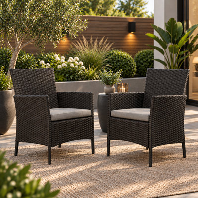 Aoife Outdoor Dining Chairs - Set Of 2 - Rattan