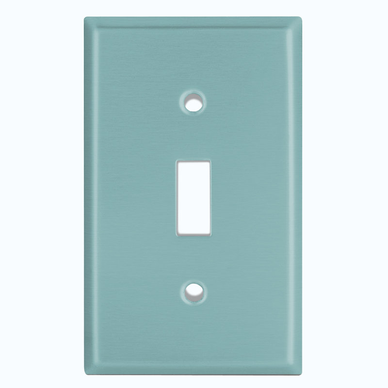 No Subject 1 - Gang Toggle Light Switch Standard Wall Plate, Mint Green
