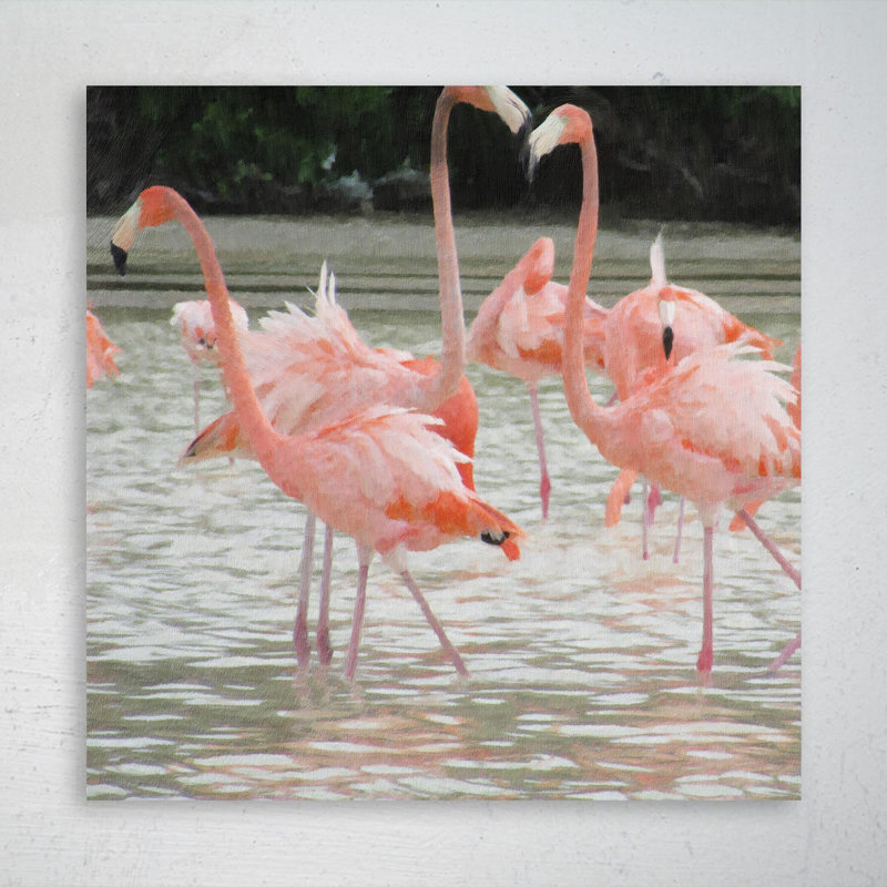 Flamants jouant dans l'eau - impression, L 32 po x H 32 po