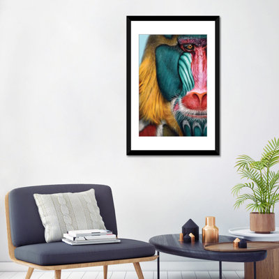 " Mandrill " by Giulio Rossi