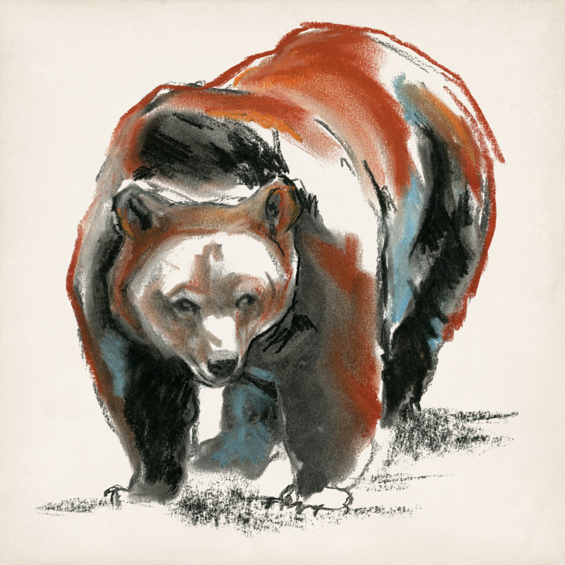 Brown Bear Gestures II by Jennifer Paxton Parker - Wrapped Canvas Print, 30cm H x 30cm W x 3.8cm D