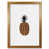 Honey Oak Frame is unavailable