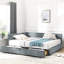 Lit de jour de style Mid-Century avec revêtement en velours et espace de rangement supplémentaire-130429109