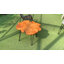 Table basse en bois massif