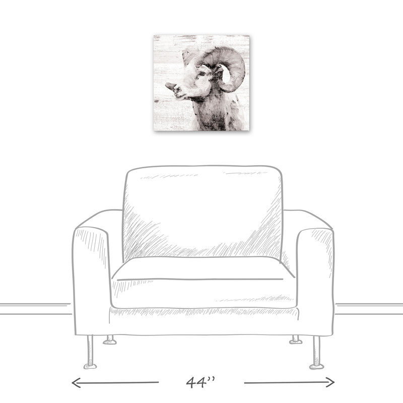 White Ram - Wrapped Canvas Graphic Art
