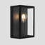 Joshawn Black Outdoor Flush Mount