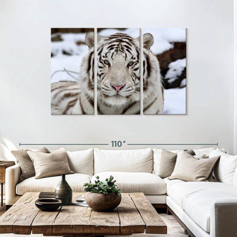 Glorieux tigre blanc, H 48 po x l 74 po