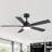 Selvidge 52'' Ceiling Fan with LED Lights and Remote, 6 Speed Quiet Reversible DC Motor, 5 Plywood Blades, 5''/10'' Downrods,Timer-139012768