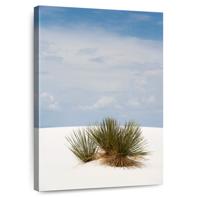 Alvord Sand Dune Bush