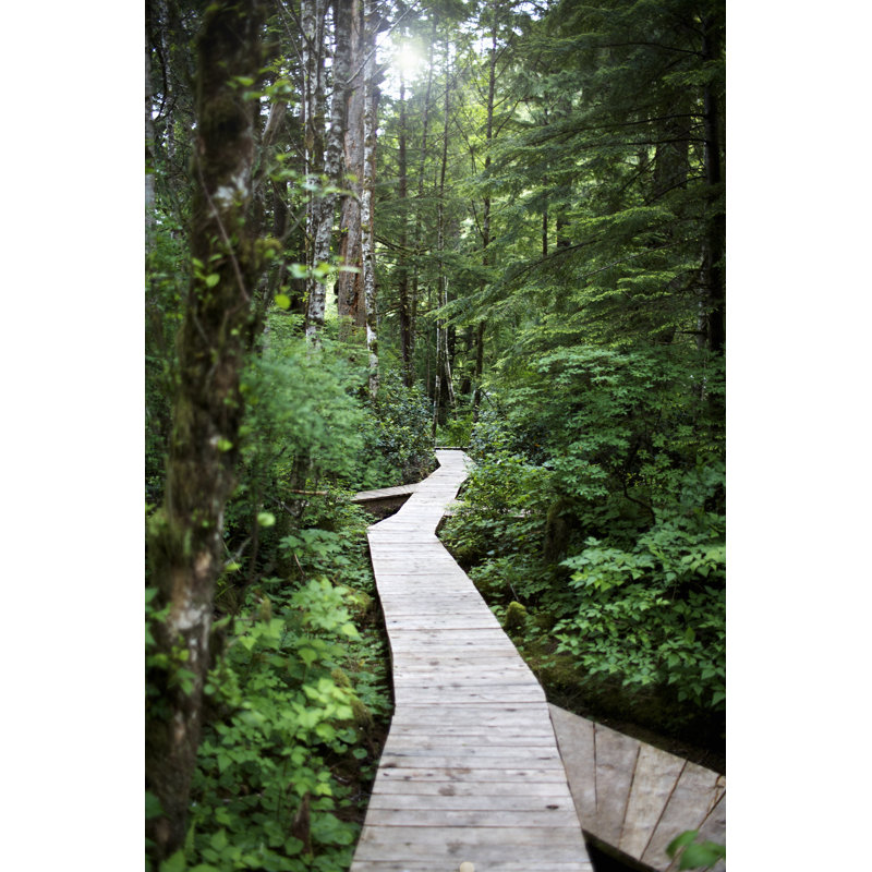Walkway Through Forest by Ryan Mcvay, 18" H x 12" W