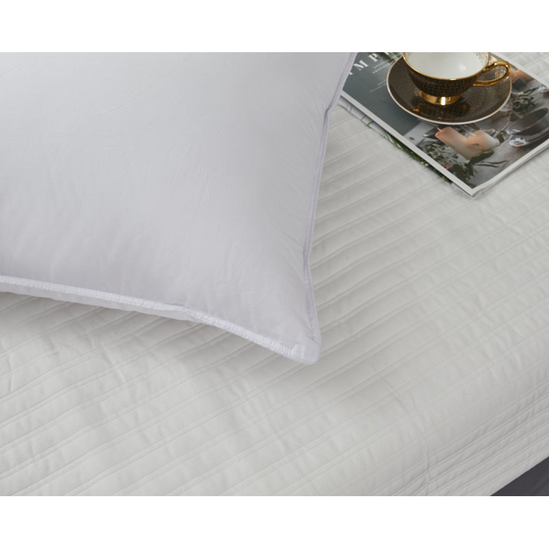 Jumbo Hypoallergenic Tencel and Polyester Pillow Set