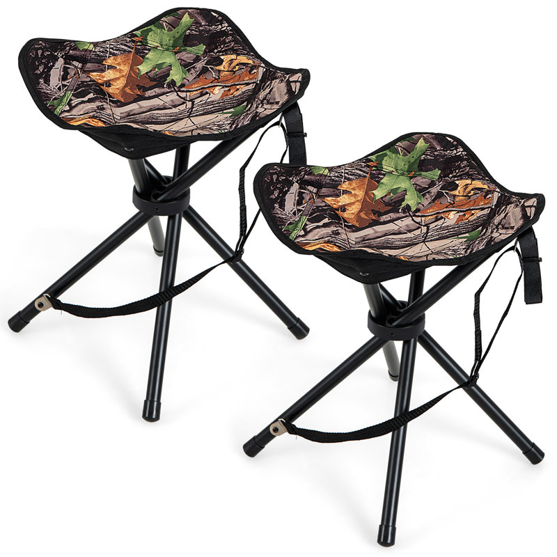 Braylah Camping / Beach Folding Chair Folding Chair Set