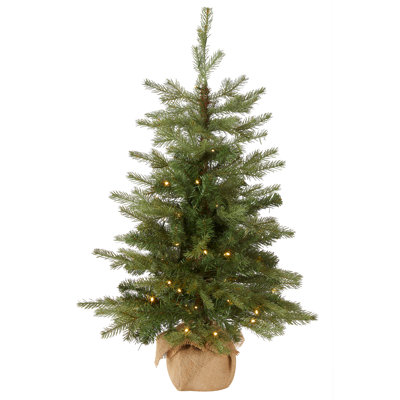 3 pi Épinette nordique avec lumières DEL
