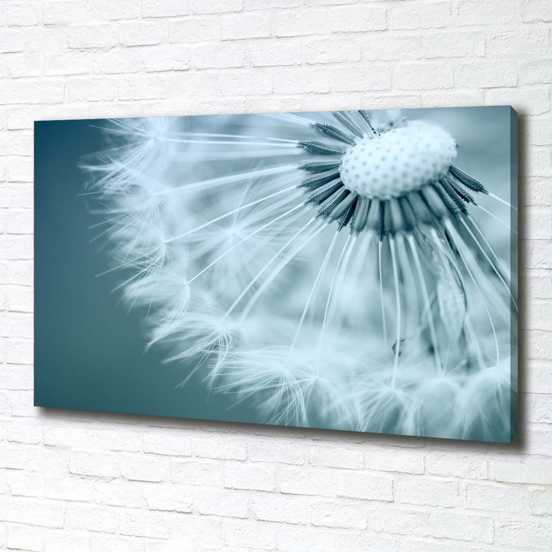 Dandelion - Wrapped Canvas Print