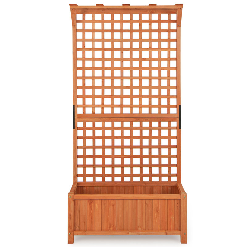 Pachl Vertical Garden with Trellis