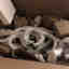 Customer photo 3 of 3