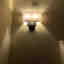 Photos des clients 1 de 1