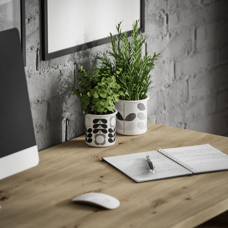 Corla Writing Desk
