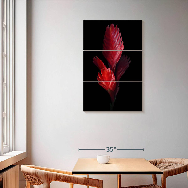 Harnek Bromeliad, 57'' H x 36'' W