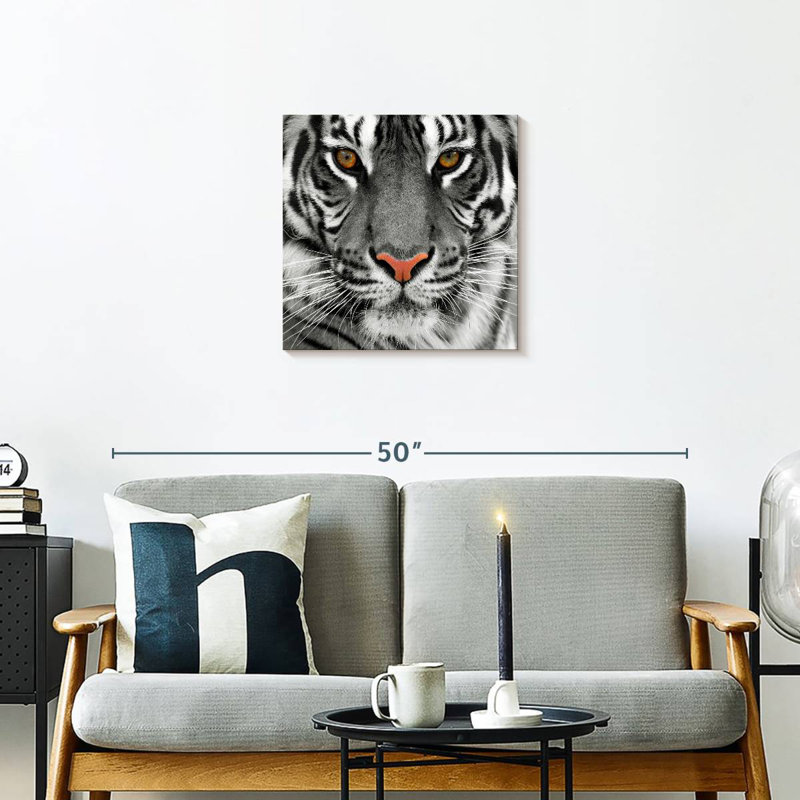 Brampt Staring Tiger, 20" H x 20" W