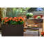 Pot à fleurs en plastique Chris-1962140390-1888877498