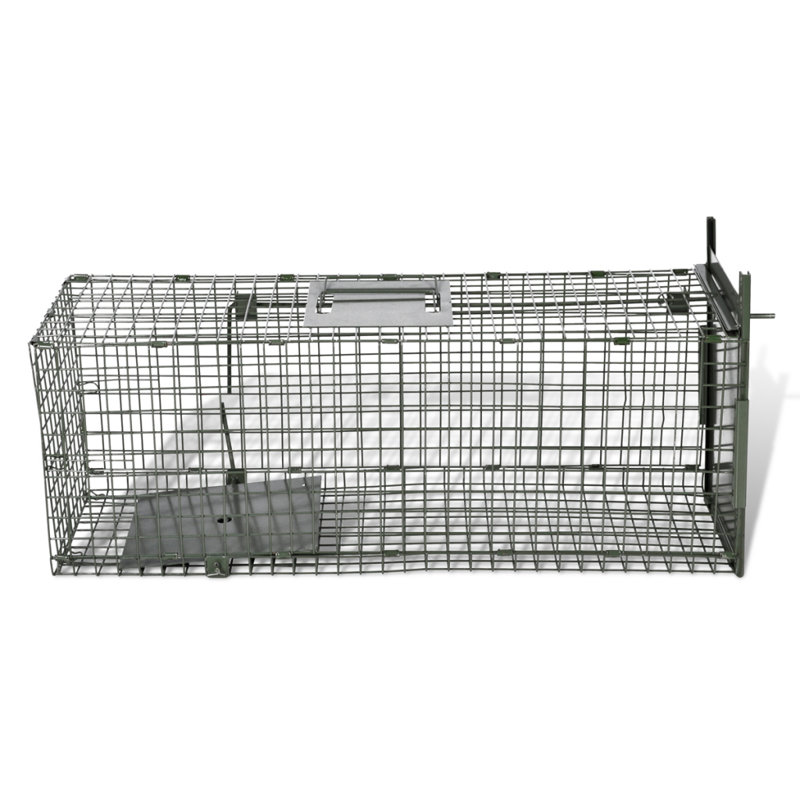 Life Trap, 25 cm H x 80 cm W