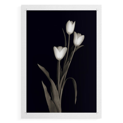 «Tulip Pose I», impression sur toile seulement - non encadrée