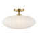 1-Light Ceiling Light