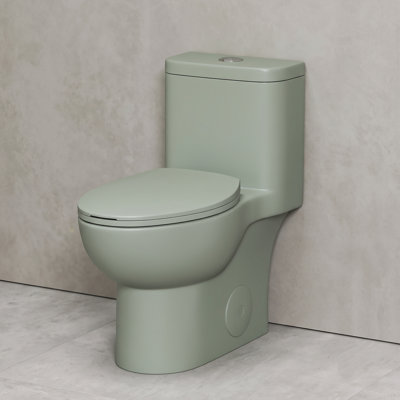 Toilette allongée une pièce à double chasse en vert