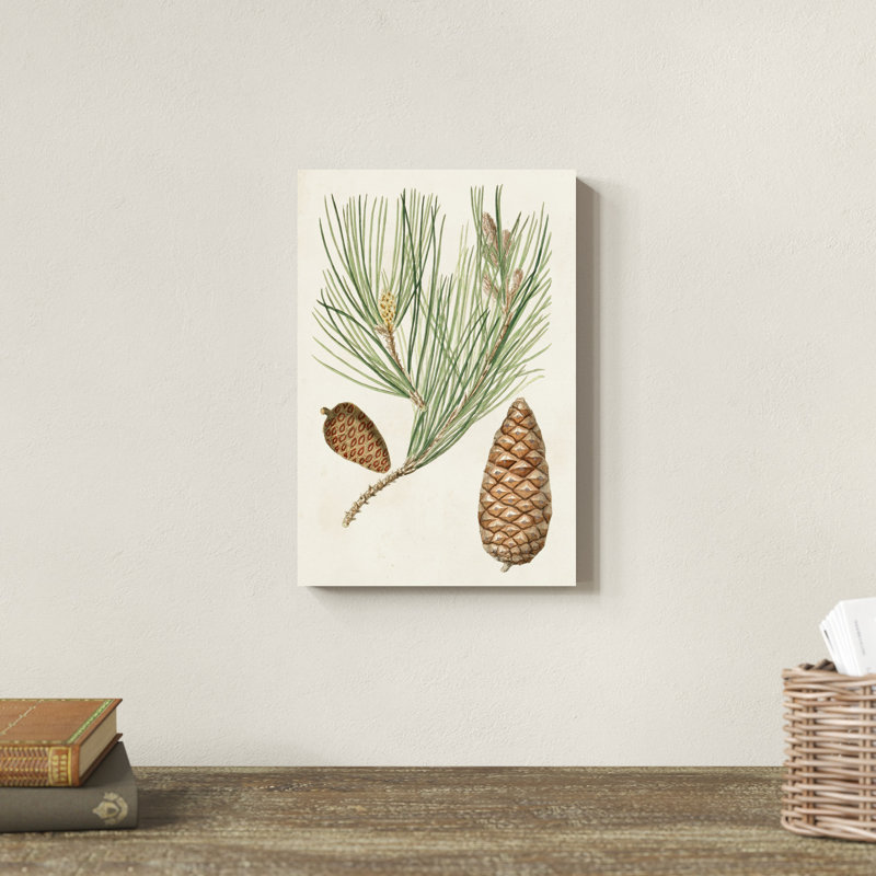 Pommes de pin antiques III, H 12 po x l 8 po