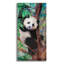 «Panda Playtime» par Robert Campbell, art mural en verre acrylique-52614795