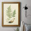 Toile encadrée de qualité supérieure Curtis Ferns II - prête à être accrochée-1252407998