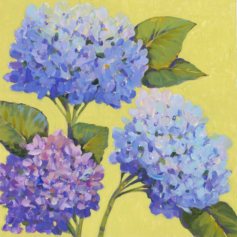 " Spring Hydrangeas II " Painting Print, 36" H x 36" W x 1.25" D