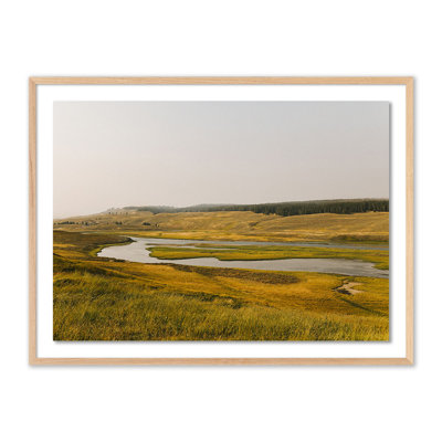 Where The Buffalo Roam Print by Wesley And Emma Teague