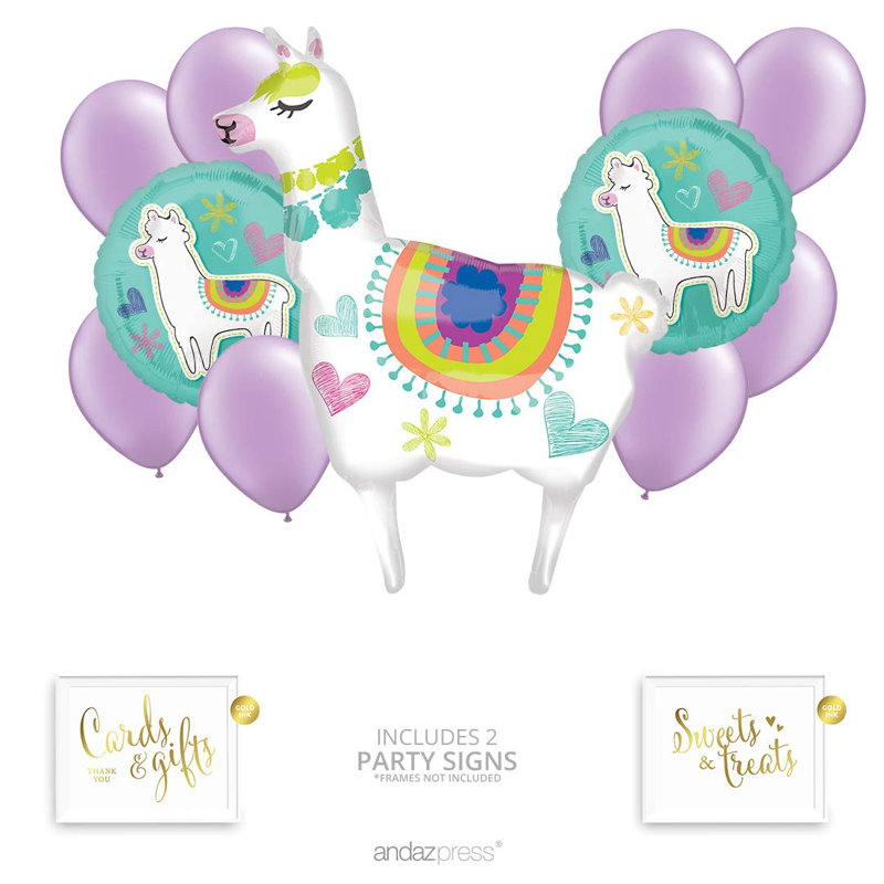 13 Piece Birthday Decoration Kit